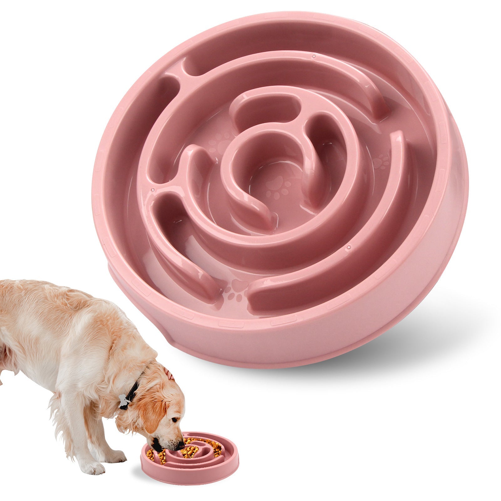 Pet Health