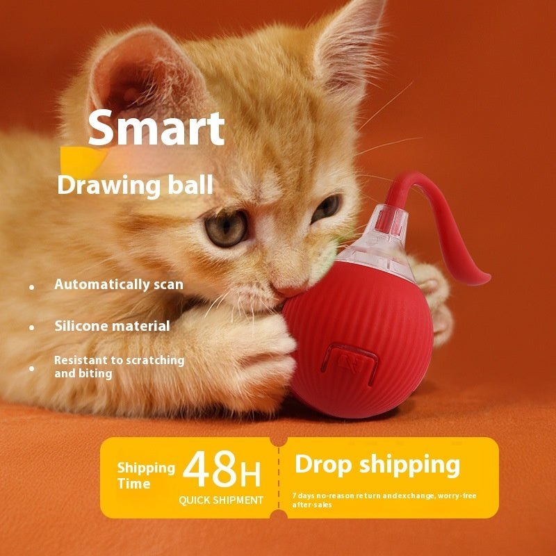 Pet Toys