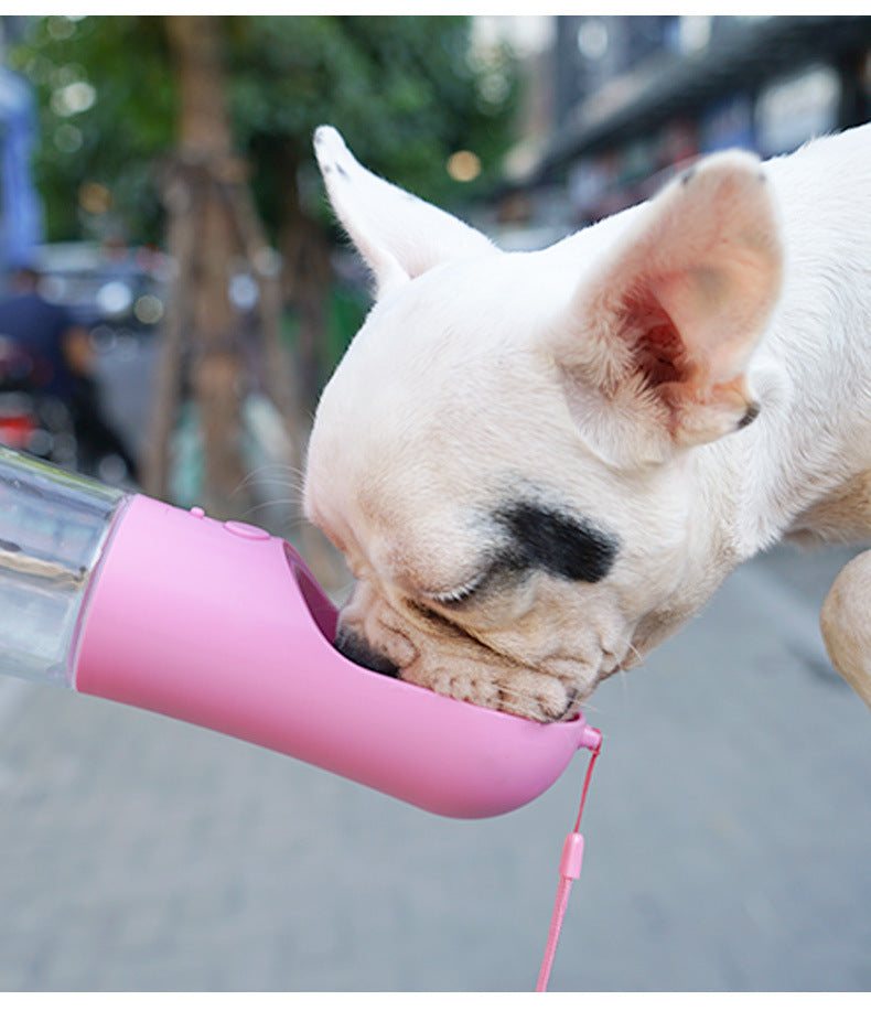 Hydrate Your Dog Anywhere with This Water Bottle