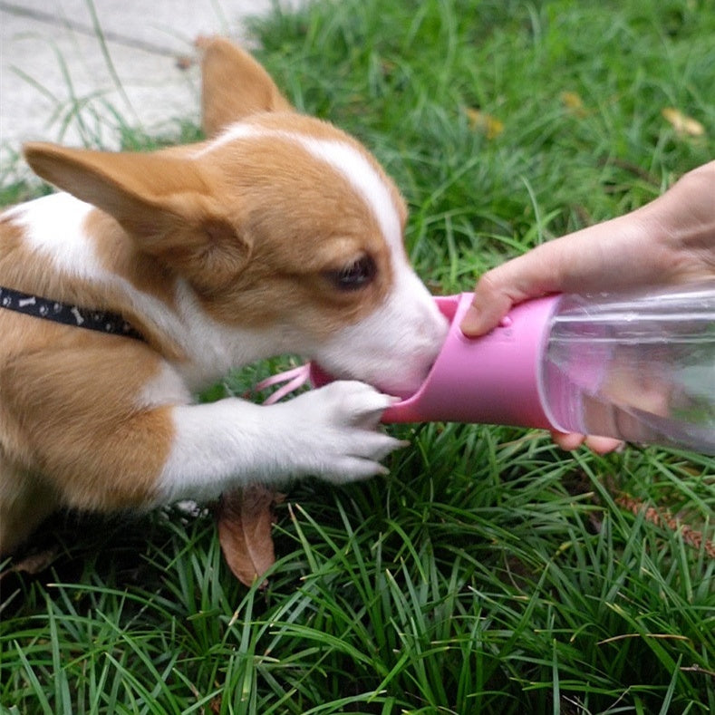 Hydrate Your Dog Anywhere with This Water Bottle