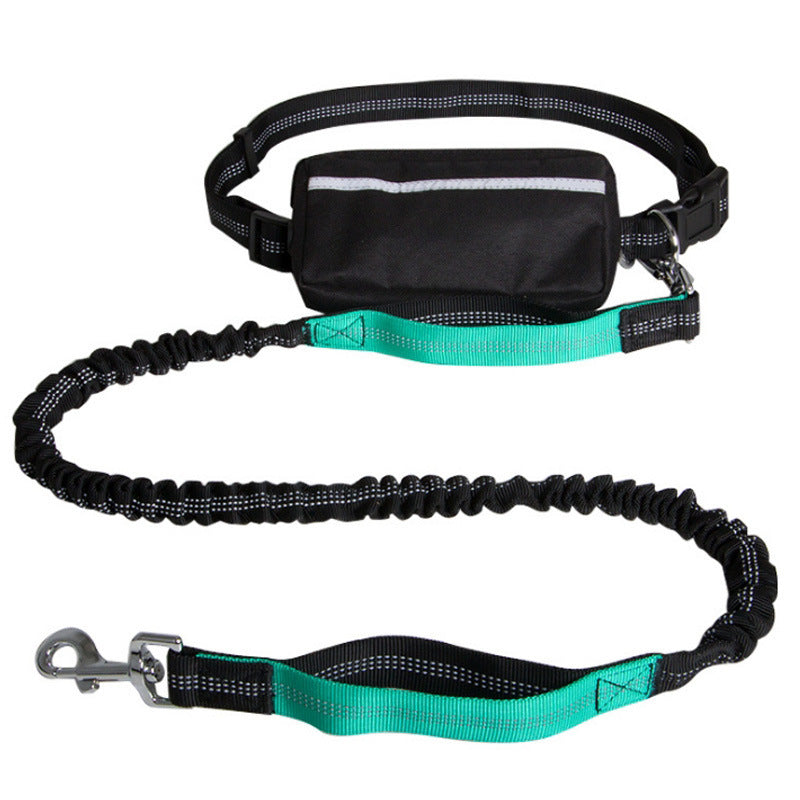 The Hands-Free Leash for Active Dog Owners