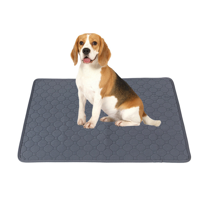 The Smart Choice for Puppy Potty Training