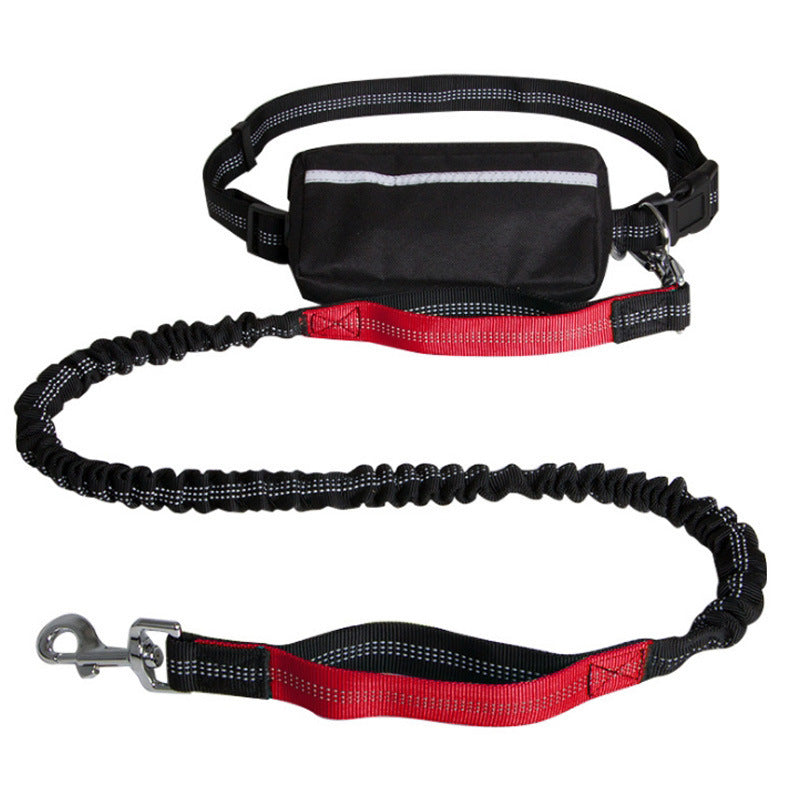 The Hands-Free Leash for Active Dog Owners