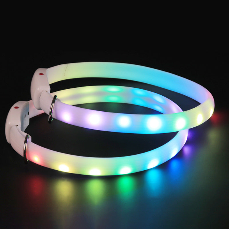 The Perfect Safety Collar for Nighttime Adventures