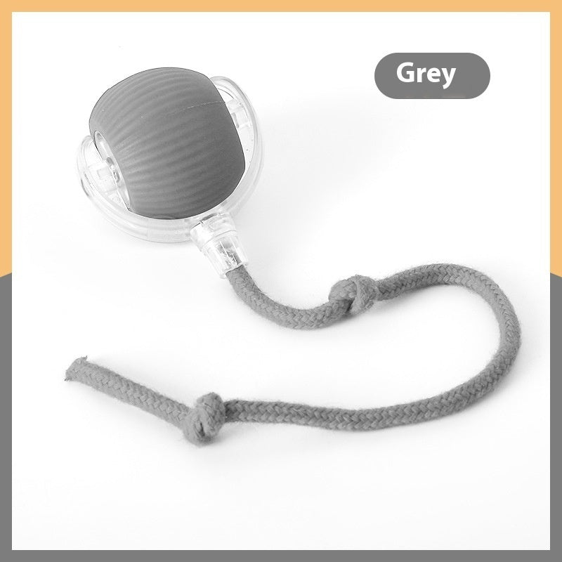 Keep Your Cat Active with This Smart Ball