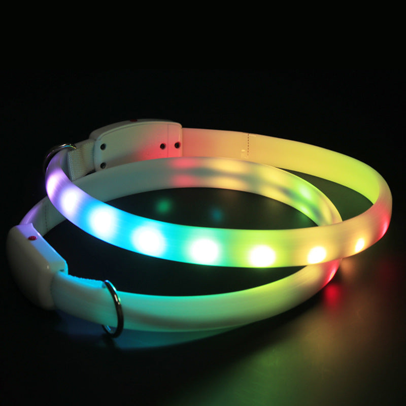 The Perfect Safety Collar for Nighttime Adventures