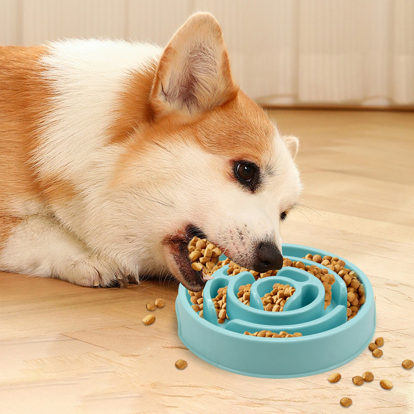The Smart Bowl to Help Your Dog Eat Slower