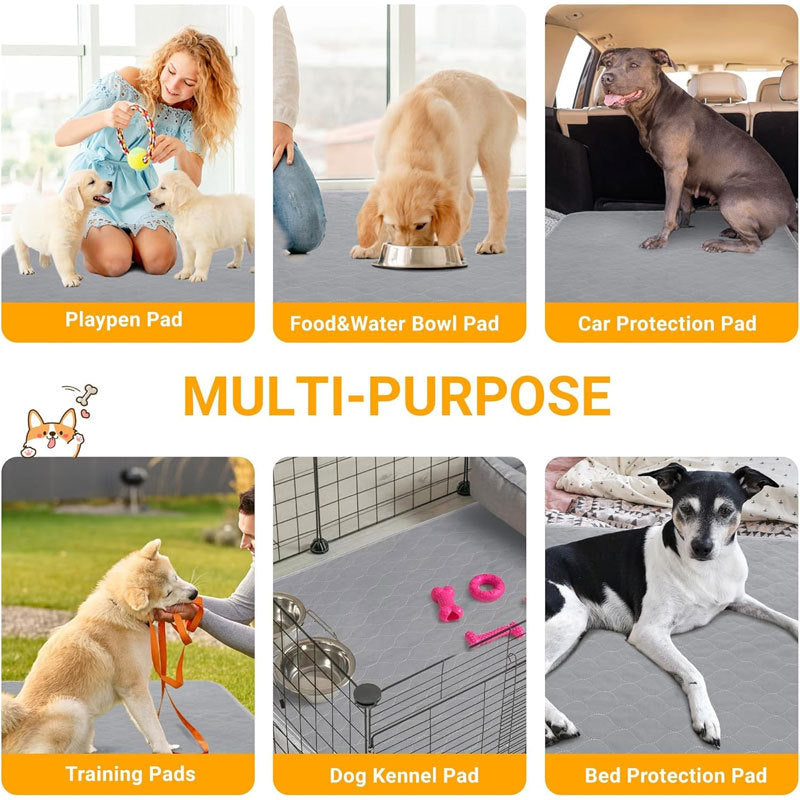The Smart Choice for Puppy Potty Training