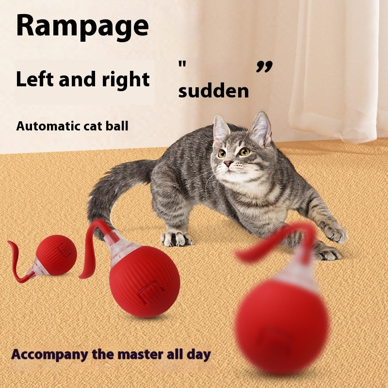 Keep Your Cat Active with This Smart Ball