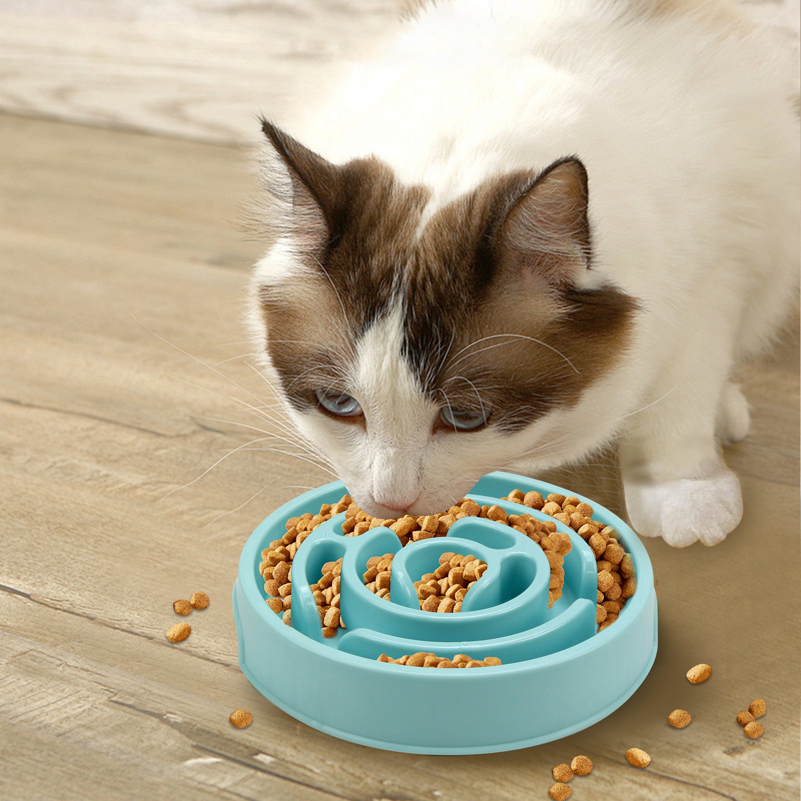 The Smart Bowl to Help Your Dog Eat Slower