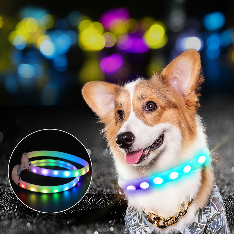 The Perfect Safety Collar for Nighttime Adventures