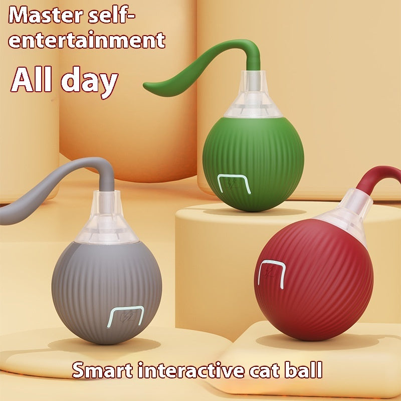 Keep Your Cat Active with This Smart Ball