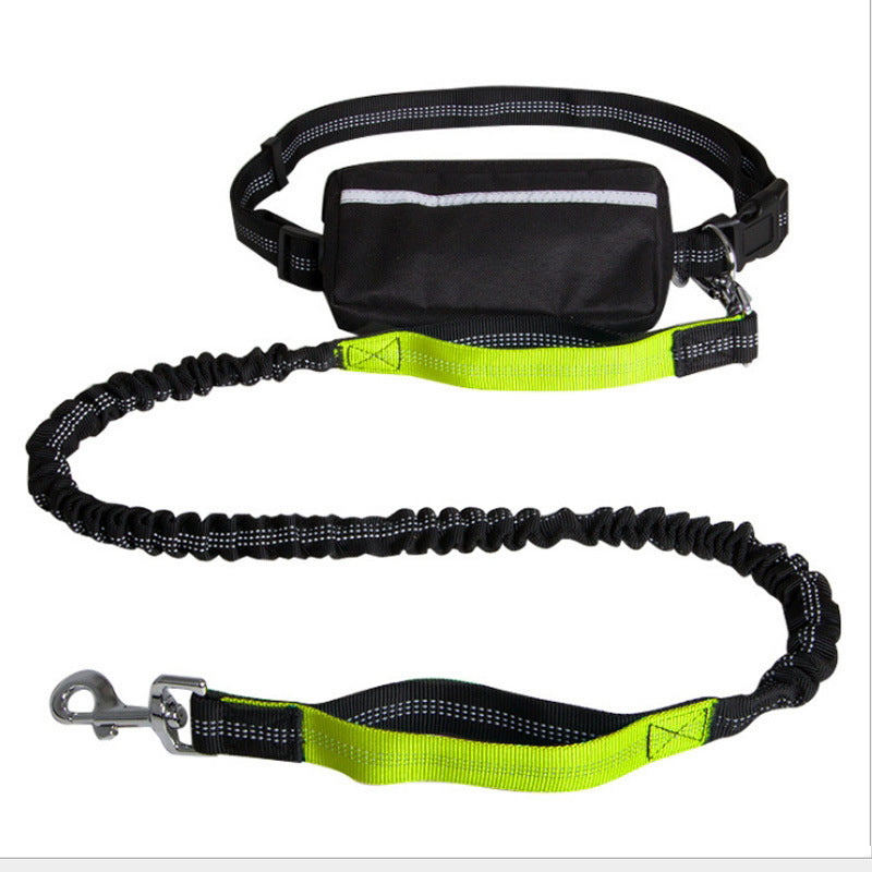 The Hands-Free Leash for Active Dog Owners