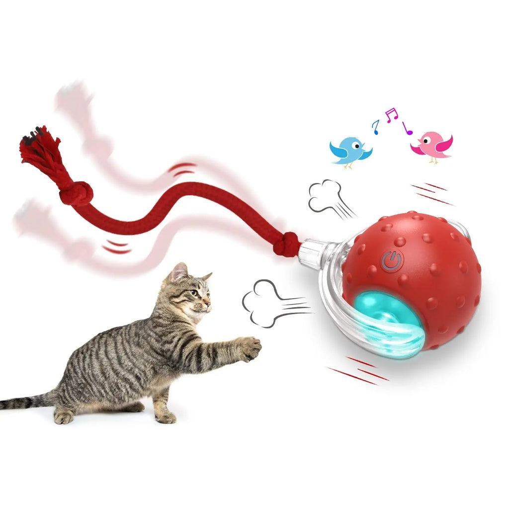 Keep Your Cat Active with This Smart Ball